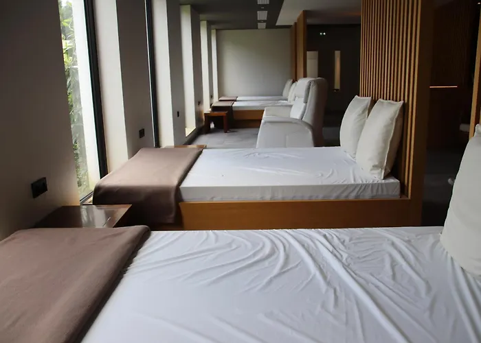 6717 Nature & Le Clos Des Delices Ottrott