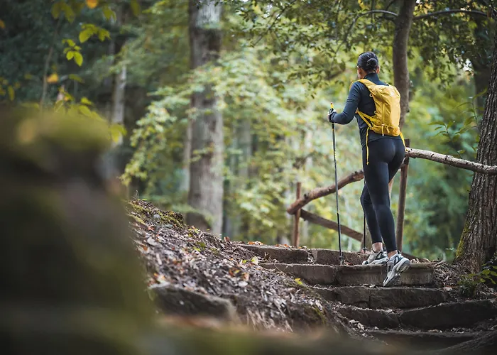 6717 Nature & Le Clos Des Delices 4*